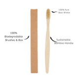 Five Natural-Bristle Toothbrushes - Sustainably Harvested